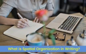 Spatial Order: Best Guide on How To Use It In Essay Writing