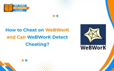 How to Cheat on WeBWorK and Can WeBWorK Detect Cheating?