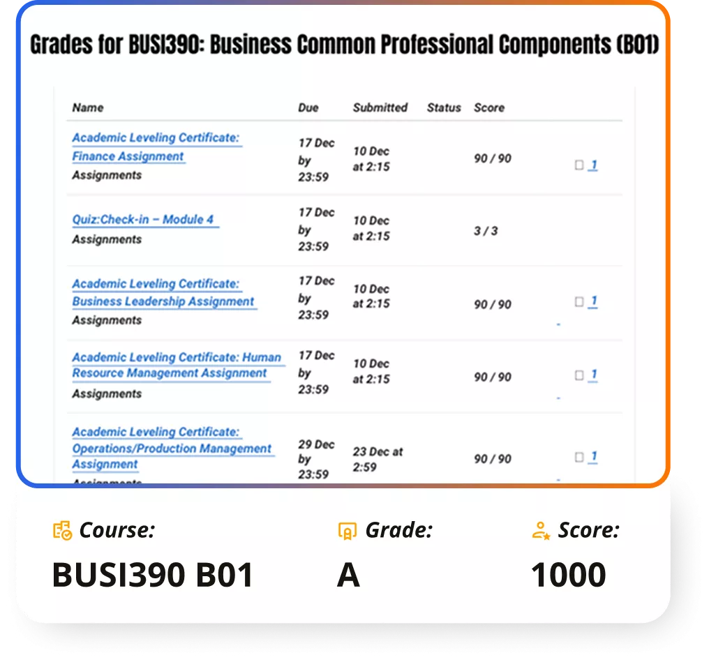 Course BUSI390 B01