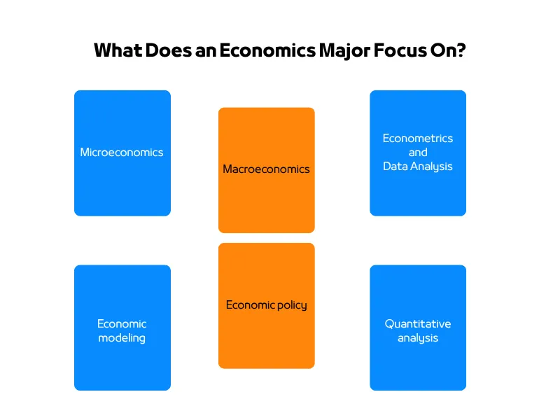 Key topics detailing what an economics major focuses on in degree programs